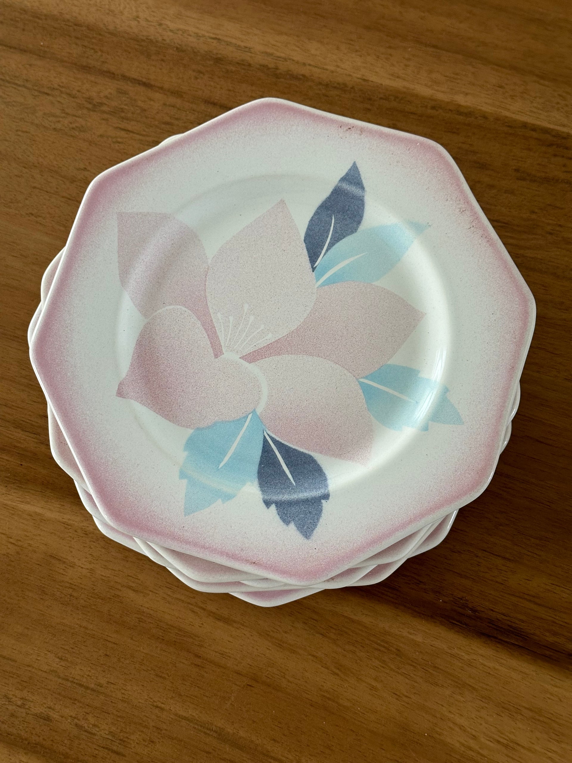 Ensemble de 12 assiettes 80's au décor magnolia